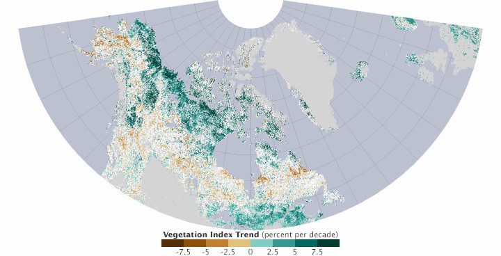 Satellites Chronicle a Greening Arctic