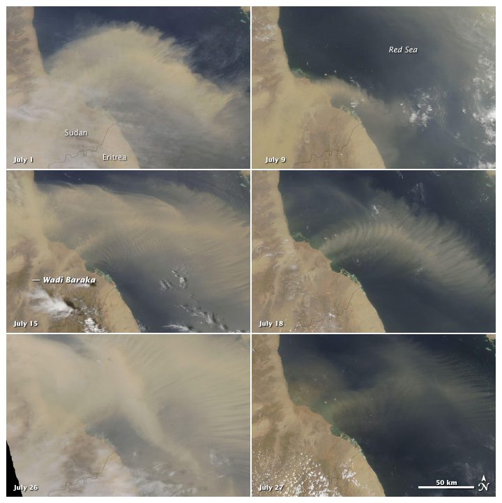 Persistent Plumes Blow over Red Sea