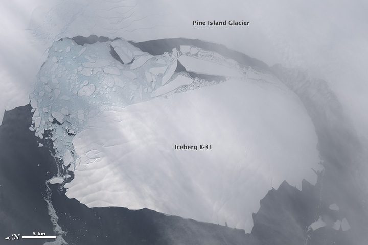Pine Island Glacier Finally Peels off Giant Iceberg