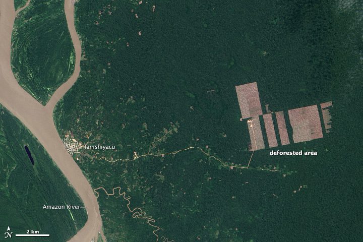 Landsat Satellites Quantify Deforestation in Peru