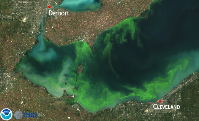 Lake Erie Faces Harmful Late-Summer Algae Bloom