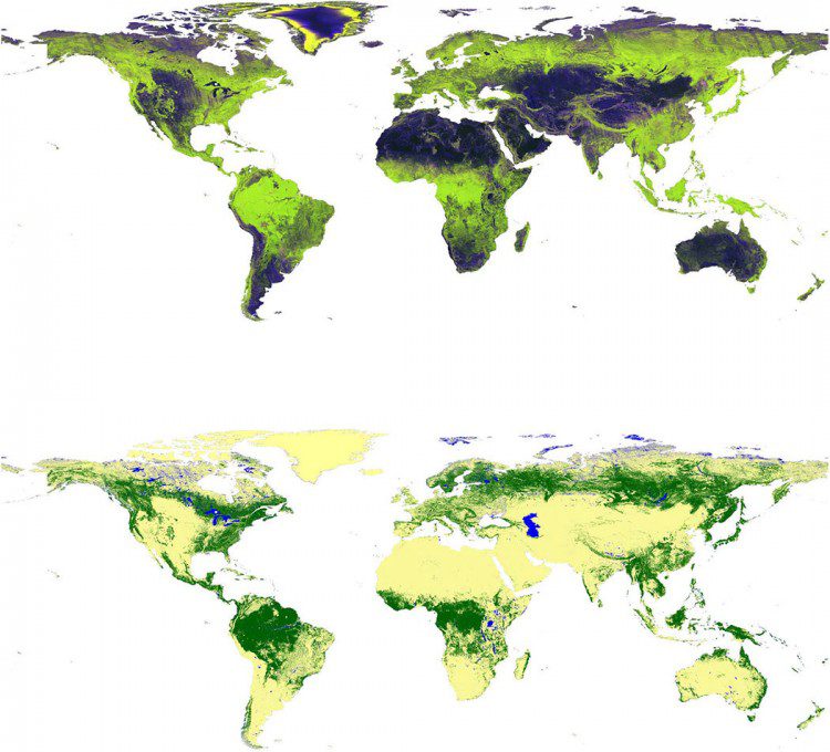 Scientists Use SAR Data to Map Changes in Global Forest Cover