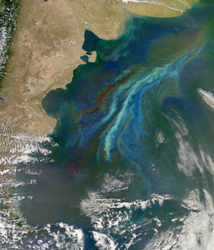Satellites use chlorophyll's green color to detect biological activity in the oceans. The lighter-green swirls are a massive December 2010 plankton bloom following ocean currents off Patagonia, at the southern tip of South America. (Credit: NASA's Earth Observatory)