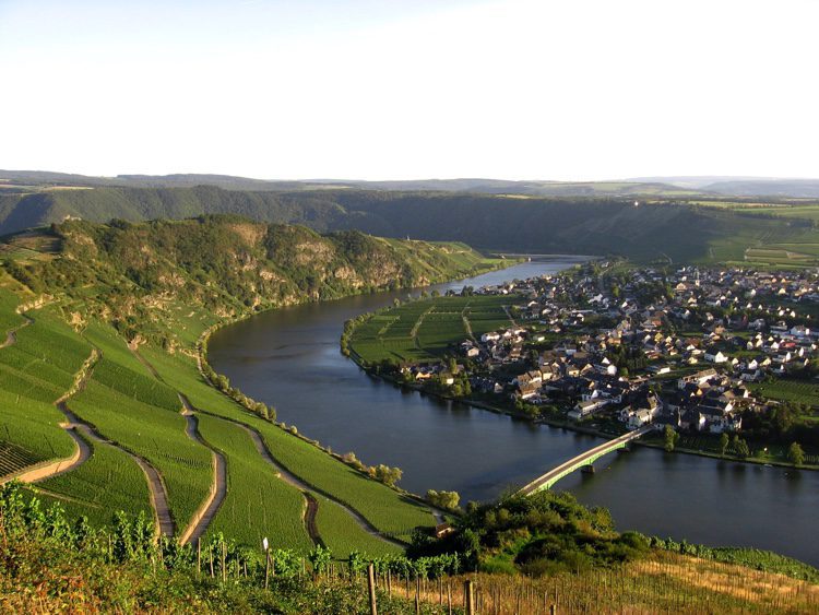 Mosel is one of 13 German wine regions and takes its name from the Moselle River.
