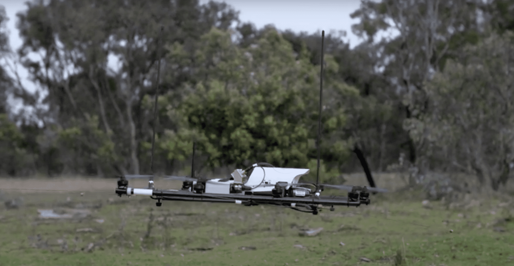 Drones Used to Track Wildlife