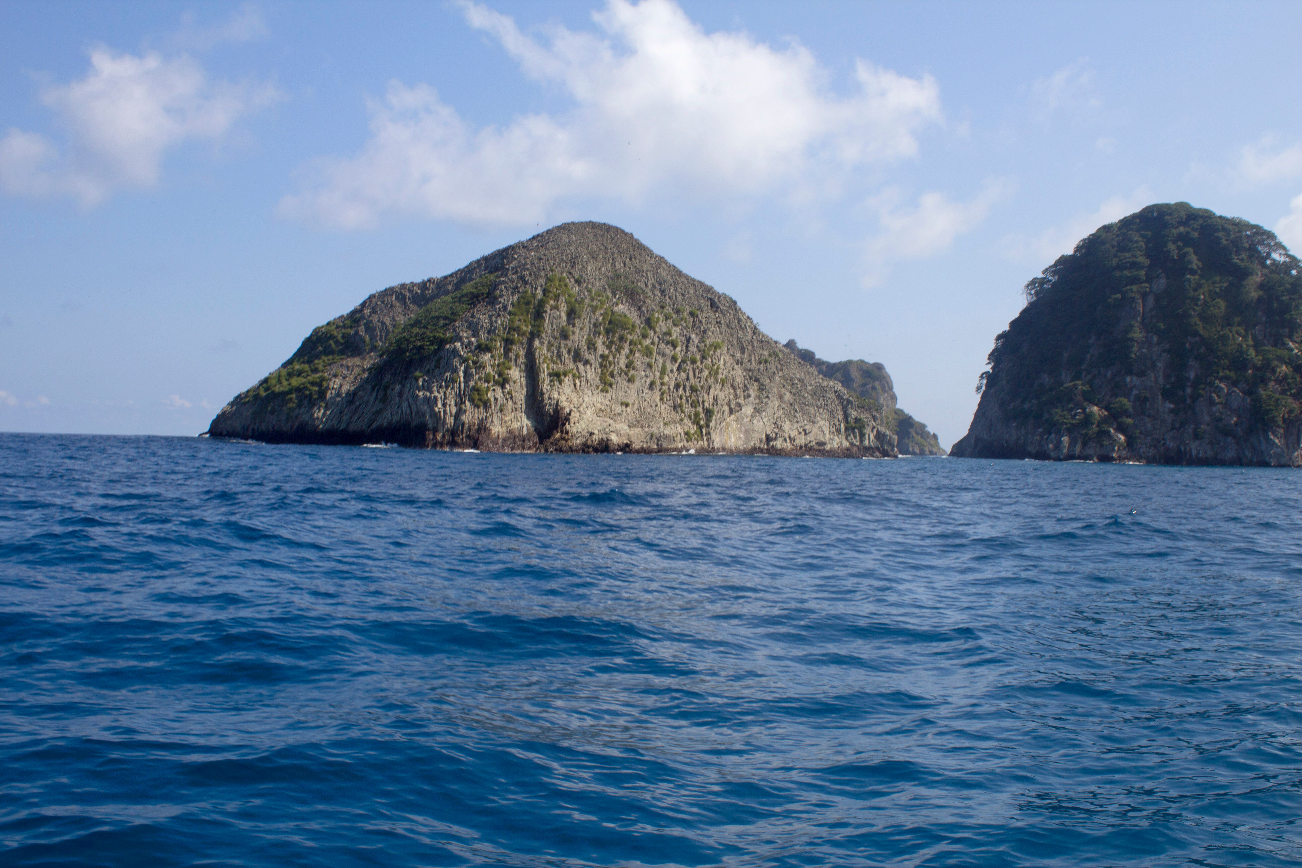 Crowdsourcing to Spot Illegal Fishing Vessels at Cocos Island Marine Protected Area