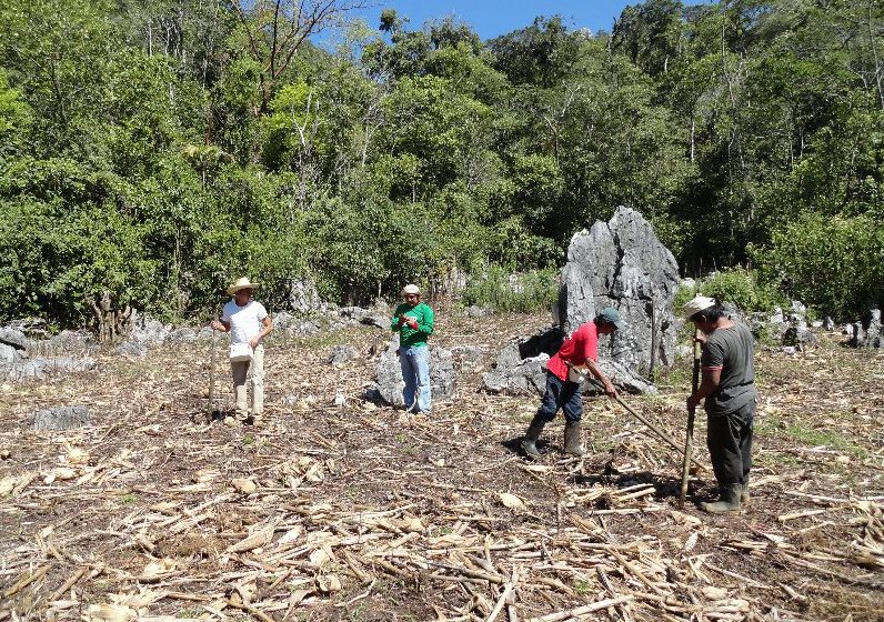 Satellite Data Helps Conserve Mexican Biodiversity