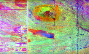 Merrick & Company’s Data Fusion Predicts Habitat Quality project used multispectral imagery to monitor Edwards Air Force Base impacts on local habitat.