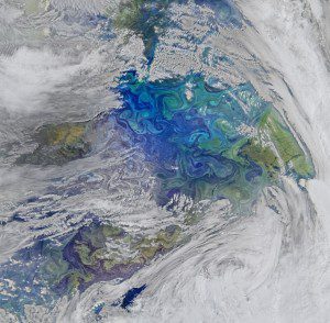 An image of phytoplankton communities between the Falkland Islands and South Georgia Island was recorded by the Visible Infrared Imaging Radiometer Suite (VIIRS) instrument aboard NASA-NOAA's Suomi NPP satellite on Nov. 16, 2015. (Credit: NASA/Ocean Biology Processing Group, NASA Goddard Space Flight Center)