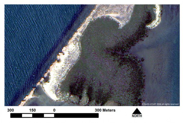 Satellite images taken recently by Earth-i's high-resolution DMC3 constellation show recent examples of mangrove coverage on the northwest coastline of Australia, close to some large oil and gas fields. Spatial detail such as individual trees, coastal damage, debris fields, contaminated areas, access tracks and shallow-water obstacles can be identified. Such detailed information would be useful for preparedness and response teams in case of any incident.