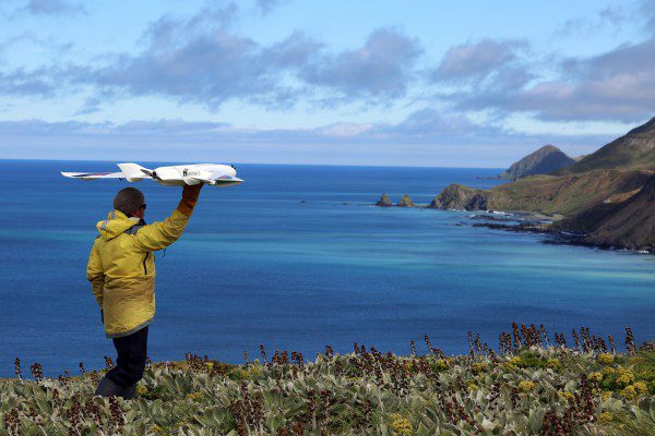 Australian Researchers Call to Minimize Drone Impact on Wildlife