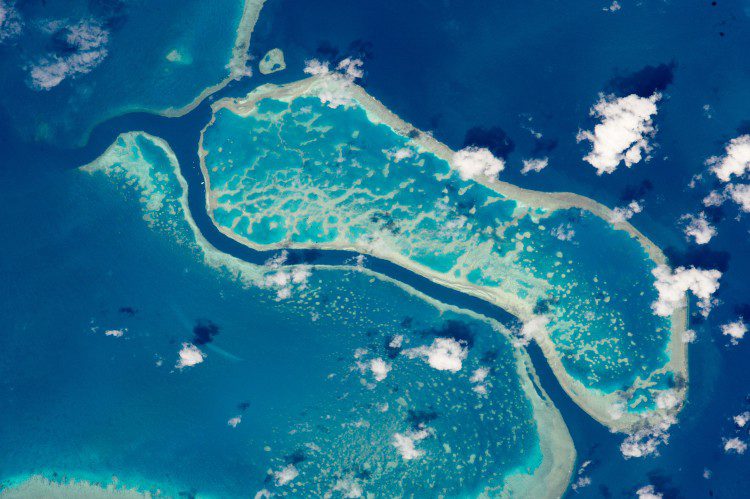 Great Barrier Reef Section Seen from Space