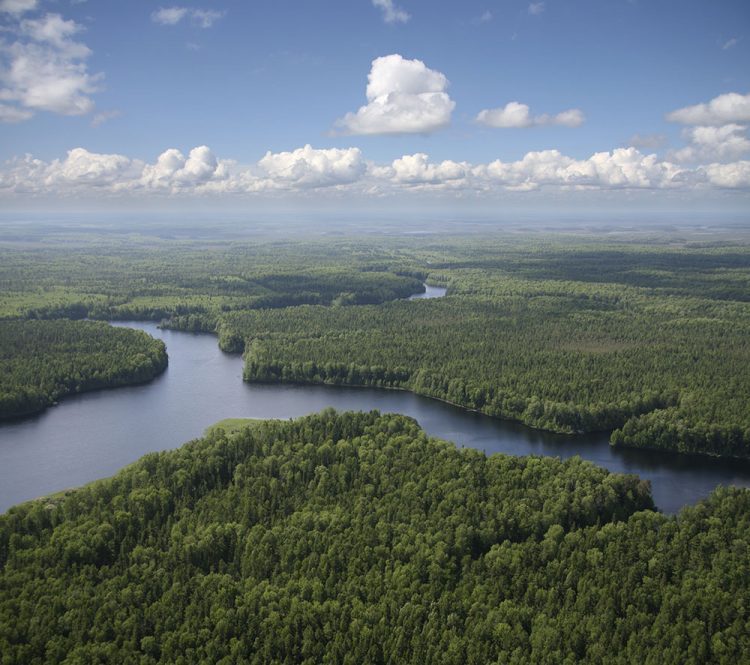 Satellite Imagery Helps Verify ˜Zero Deforestation' Commitments
