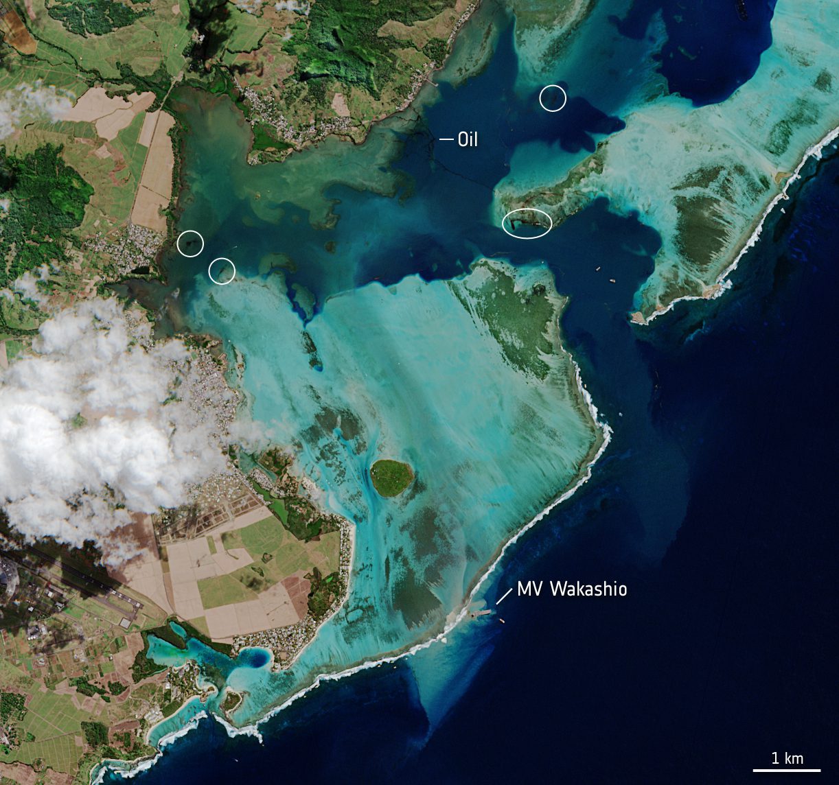 Mauritius Oil Spill Causes ˜Environmental Emergency'