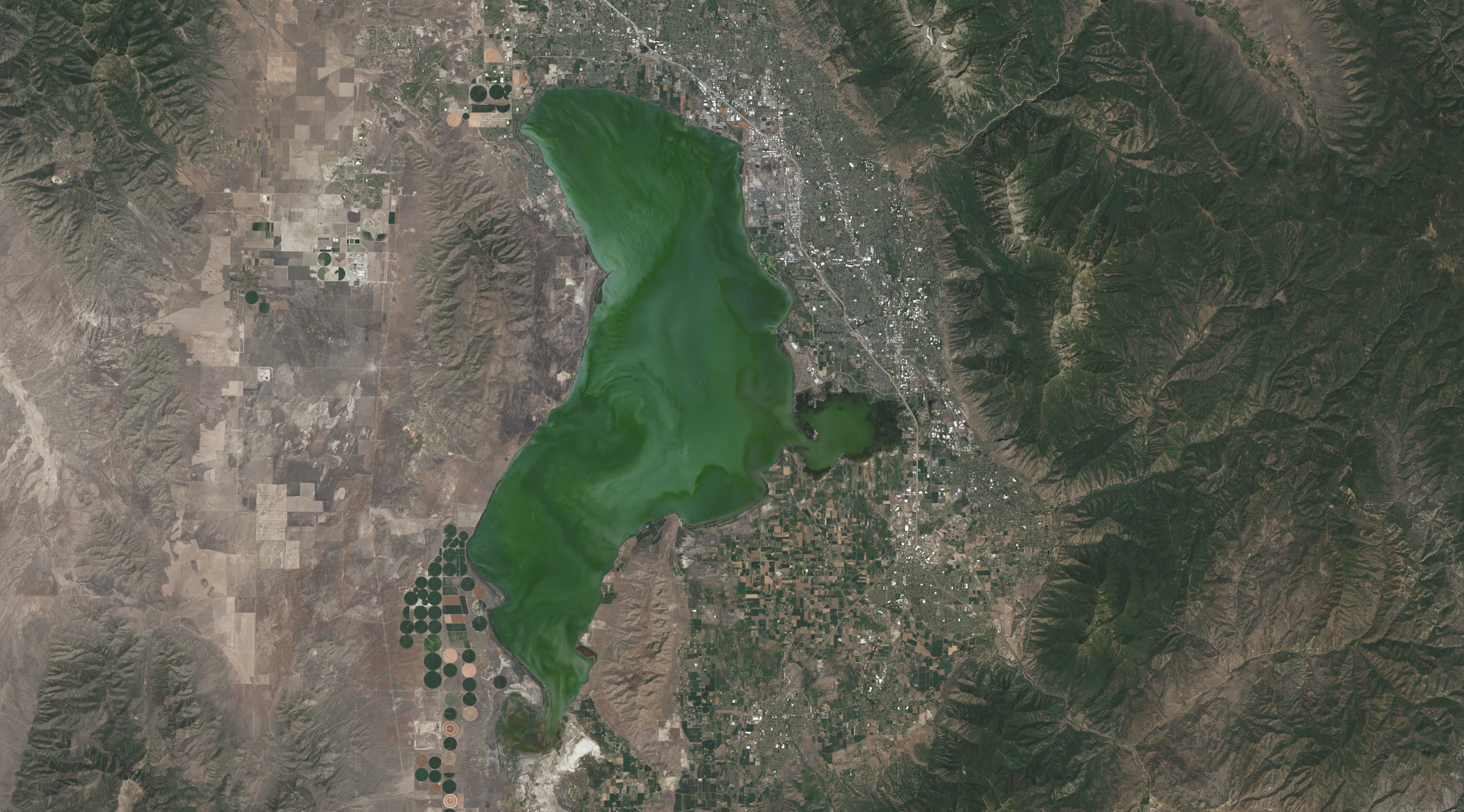 Landsat Satellite Data Warns of Harmful Algal Blooms