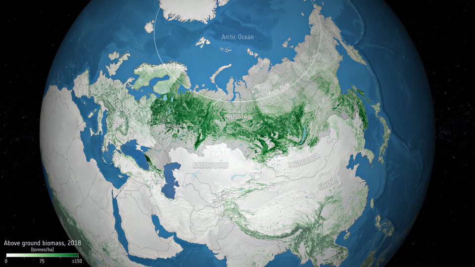 Russia's Forests Store More Carbon Than Previously Thought