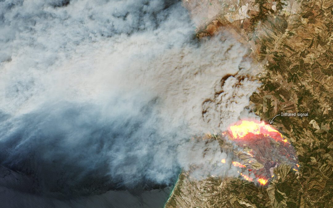 Portugal Blaze 